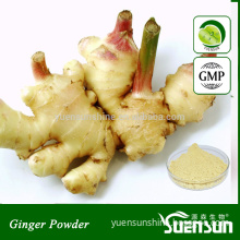 Factory supply dried ginger powder price